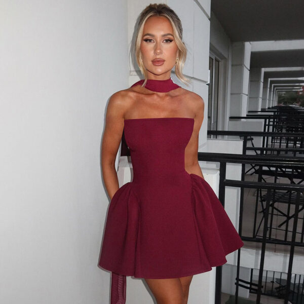 Sexy Tube Top Dress With Back Zipper Design Ins Fashion Short Dress For Party Clothing Women - Image 3